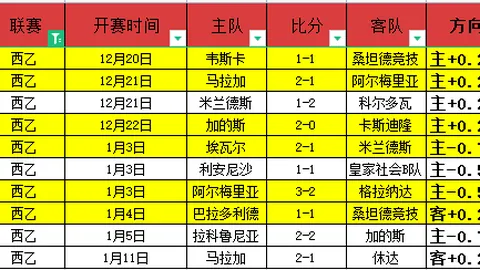 【争议奢华之旅：阿森纳VIP体验昂贵难触，工薪球迷感叹遥不可及】